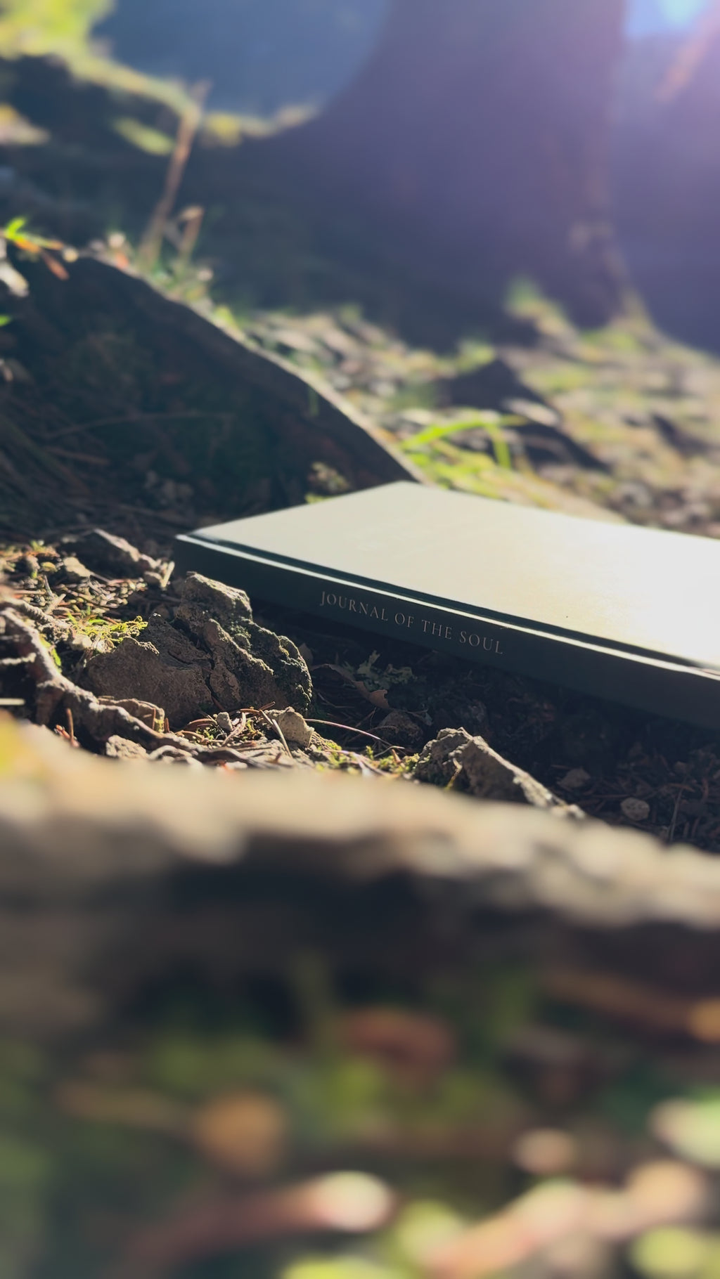 Journal of the Soul