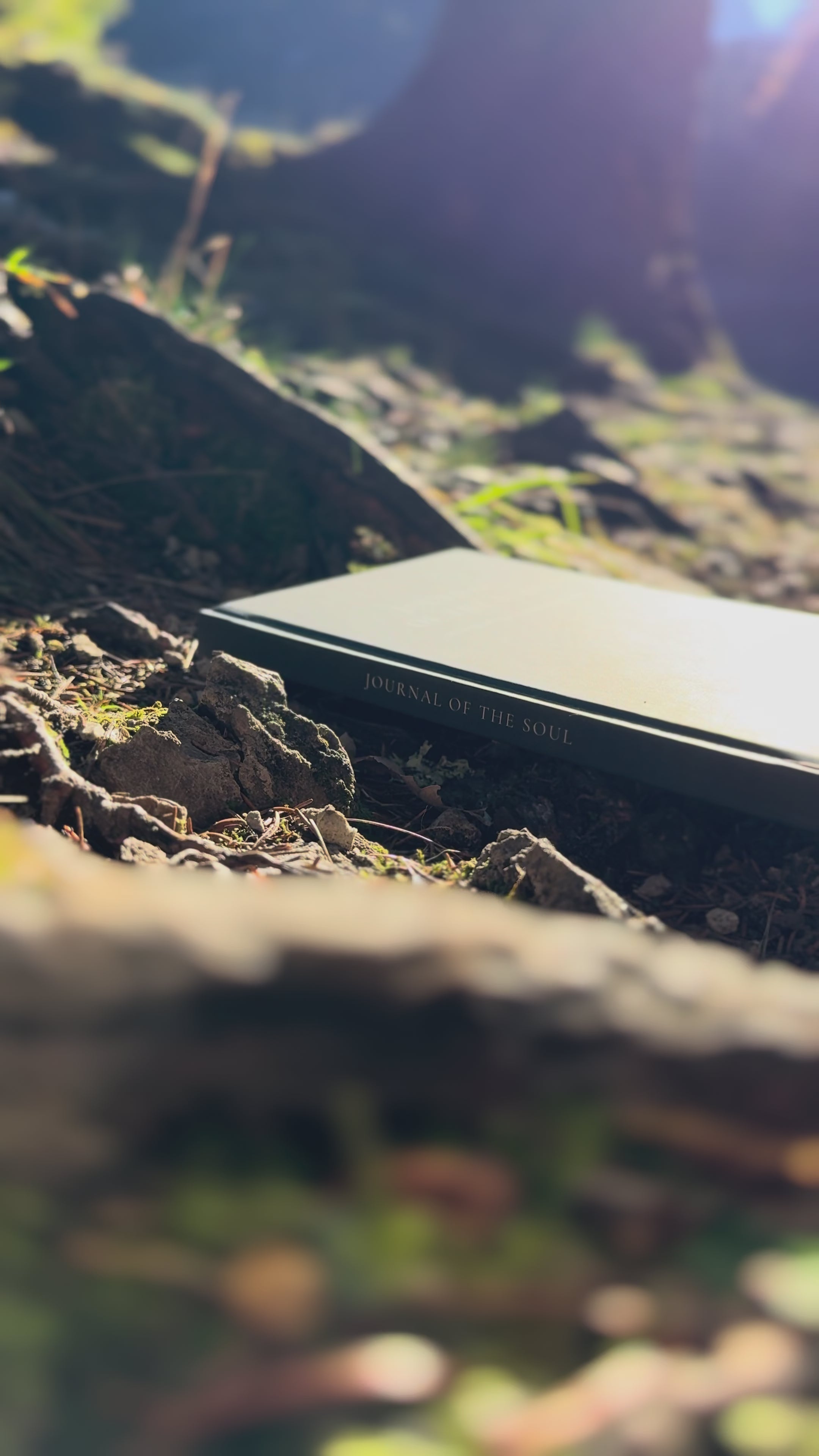 Journal of the Soul
